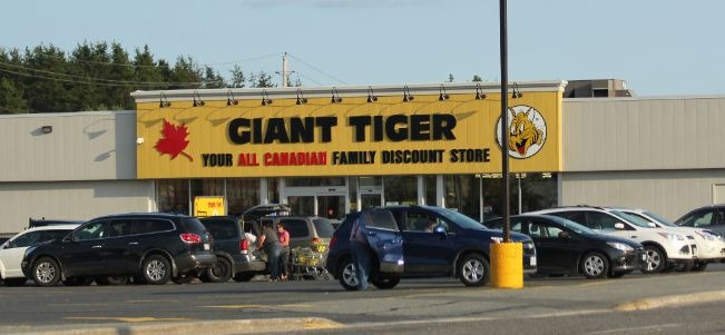 Giant Tiger Survey – www.gianttiger.com/survey ❤️️ 2024