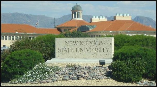 Universidade Estadual do Novo México