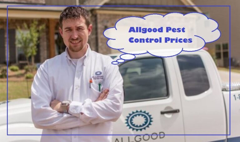 Allgood Pest Control Prices, Reviews and Phone Number [2024]