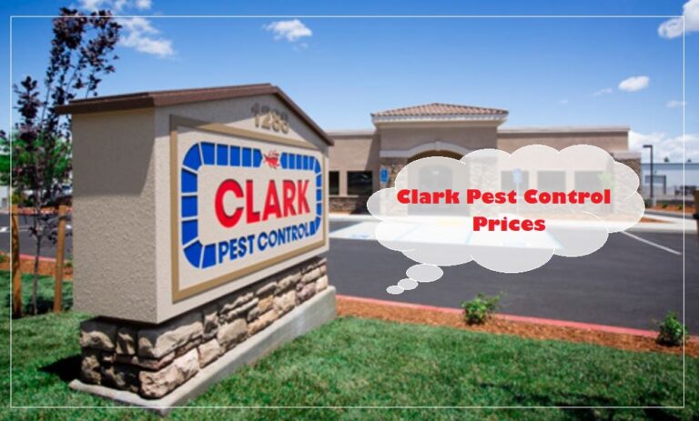 Clark Pest Control Prices, Reviews and Phone Number [2024]