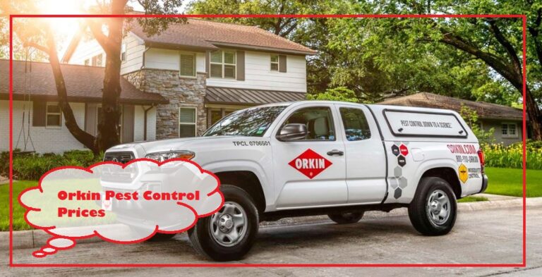Orkin Pest Control Prices, Cost, Reviews and Phone Number [2024]
