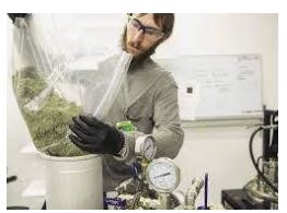 Master Marijuana Extractor