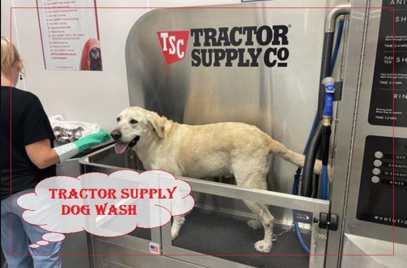 Tractor Supply Dog Wash