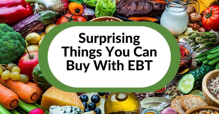 19 Surprising Things You Can Buy with EBT (Bonus!)